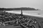 A 2a Beach, praia repleta de troncos em La Push, pequena localidade indígena no litoral do Olympic National Park, no estado de Washington, oeste dos Estados Unidos